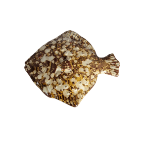 Rdsptte i keramik Lys 14cm lang