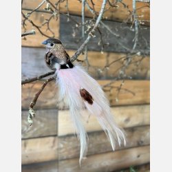 DEKO FUGL MED PERLE PEACH L17CM