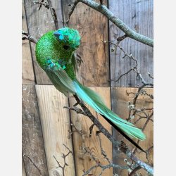 LA VIDA DEKO FUGL LIME L14CM