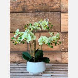 La Vida Kunstig orkid, 6 stilke