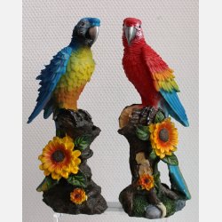 Papegje rd 30cm