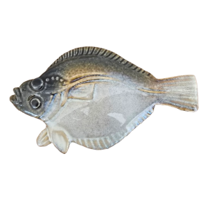 Skrubbe i keramik Ocean