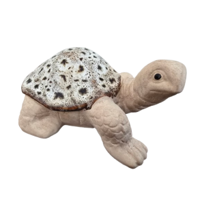 Keramik skildpadde plettet