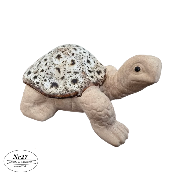 Keramik skildpadde plettet