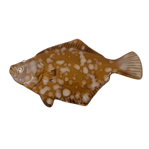Fladfisk i keramik Lys 19cm lang