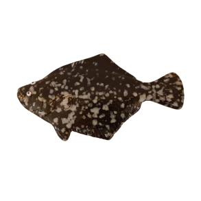 Fladfisk i keramik Mrk 19cm lang