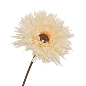 Silkebladet Gerbera Cream