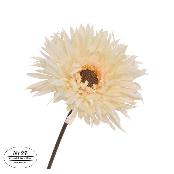 Silkebladet Gerbera Cream
