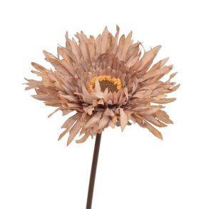 Silkebladet Gerbera Nude