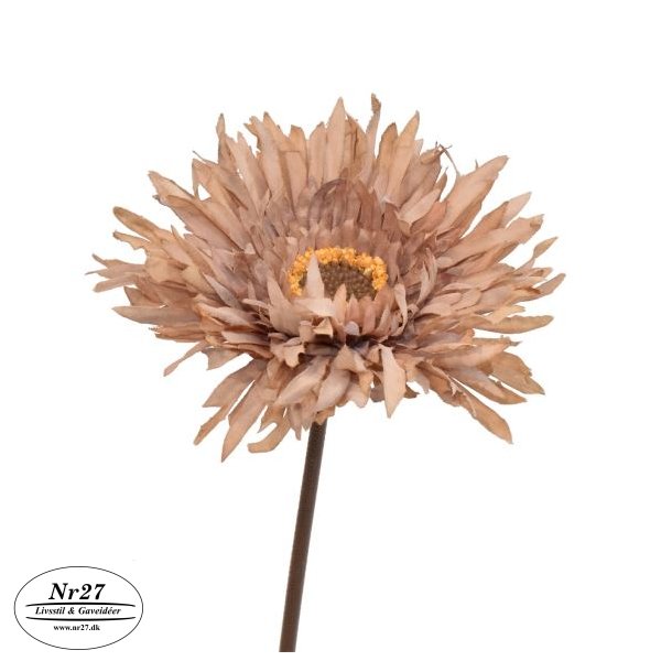 Silkebladet Gerbera Nude