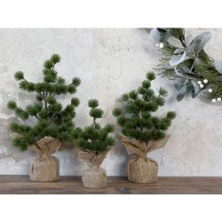 CHIC ANTIQUE Fleur Cedertr