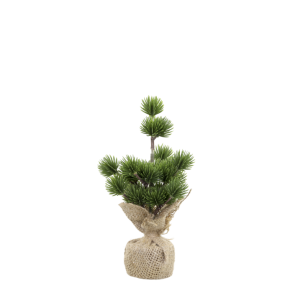 CHIC ANTIQUE Fleur Cedertr