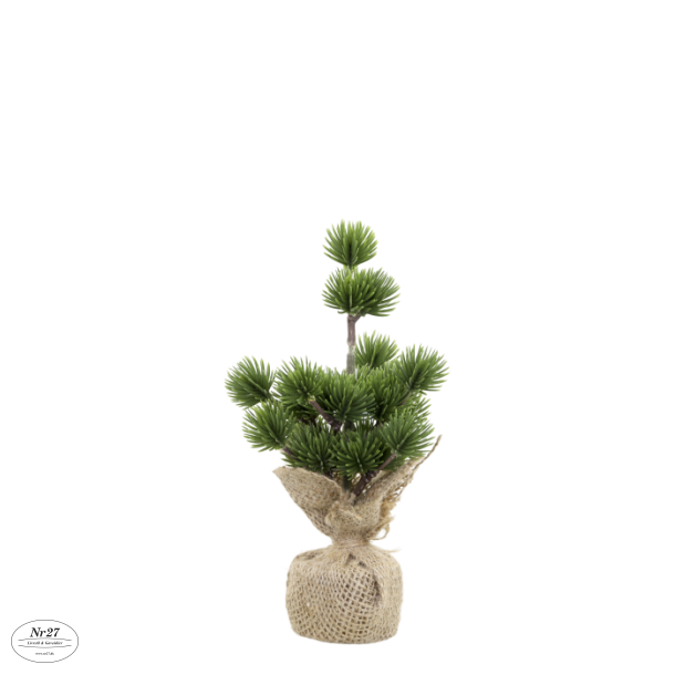 CHIC ANTIQUE Fleur Cedertr