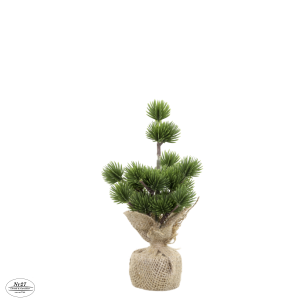 CHIC ANTIQUE Fleur Cedertr