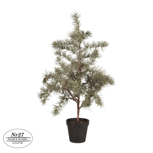 Kunstigt Ceder tr i Potte