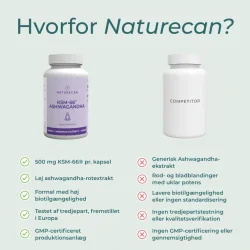 NATURECAN KSM-66 Ashwagandha