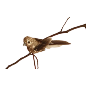 La Vida Fugl Champagne m/clips