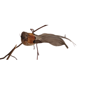 La Vida Fugl Cognac m/clips