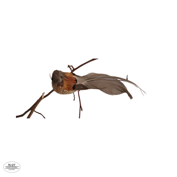 La Vida Fugl Cognac m/clips