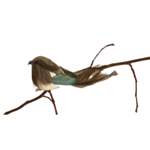 La Vida Fugl Mrkegrn m/clips