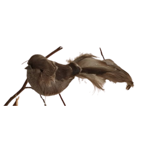 La Vida Fugl Slv/Gr m/clips