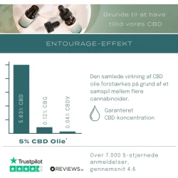 CBD Vingummi 10mg 60st
