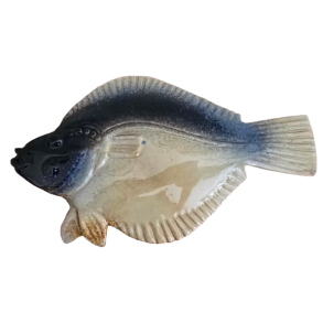 Keramik Fladfisk mrkebl og sand