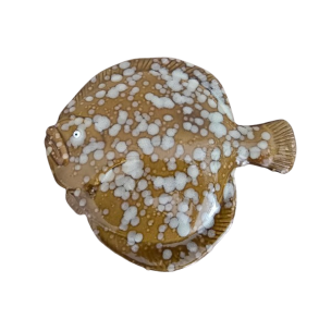 Keramik Fladfisk med hvide pletter lille