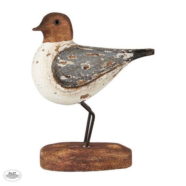 Fugl p fod stvbl vinger Nautico