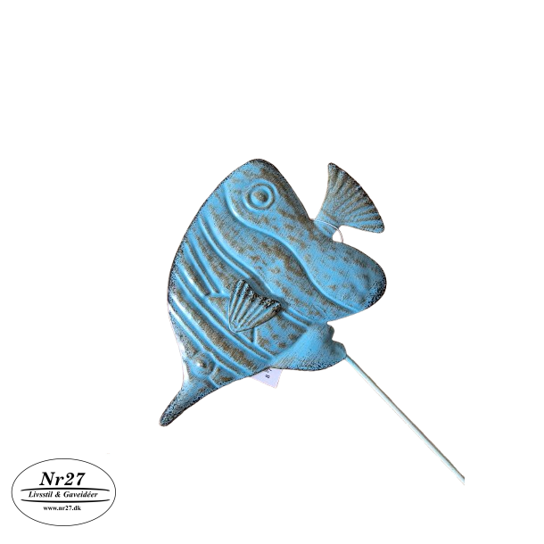 Lysebl� fisk p� 50cm pind 