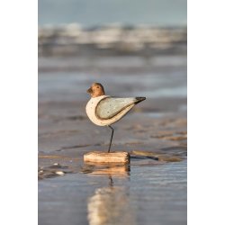 Fugl p fod stvbl vinger Nautico