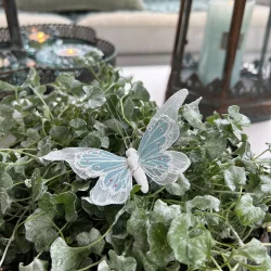 Sommerfugl til dekoration