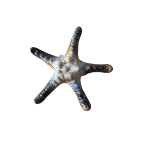 S�stjerne i keramik 10 cm