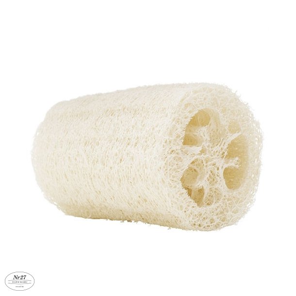 Loofah