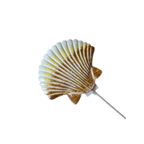 Muslingeskal p� 50cm pind 