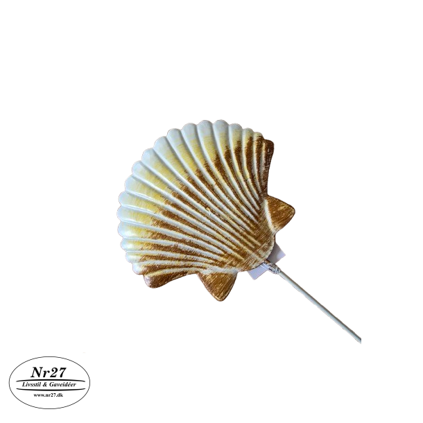 Muslingeskal p� 50cm pind 